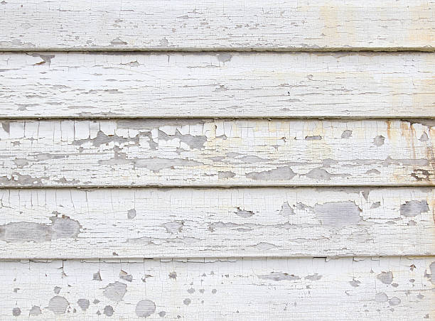 Best Weatherproofing and Sealing  in Waterloo, NE