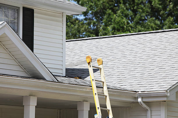 Best Wood Siding Installation  in Waterloo, NE