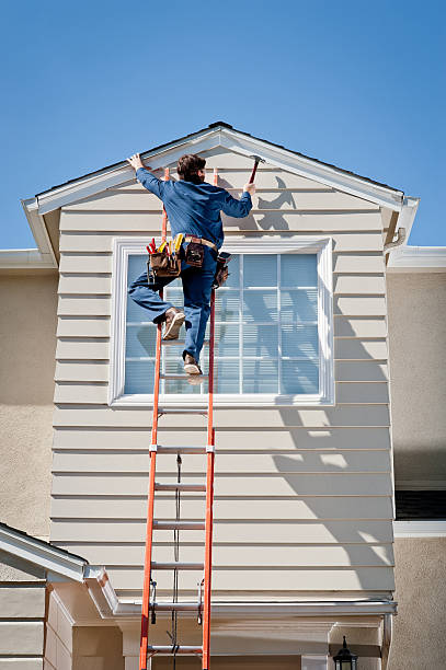 Best Custom Trim and Detailing for Siding  in Waterloo, NE