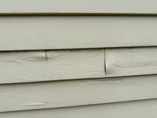Best Fiber Cement Siding Installation  in Waterloo, NE